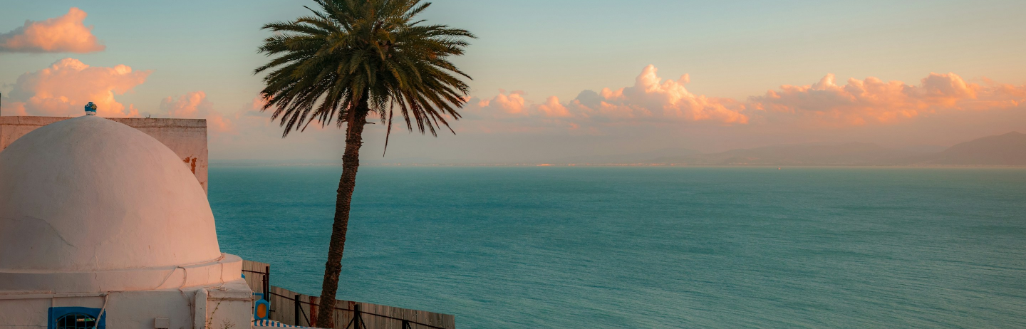 Professional services team